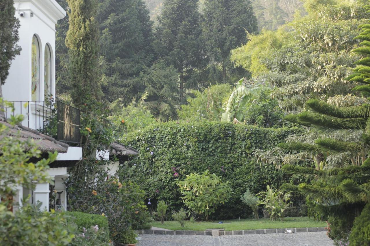 Hotel Y Jardines Casa Buho Antigua Dış mekan fotoğraf
