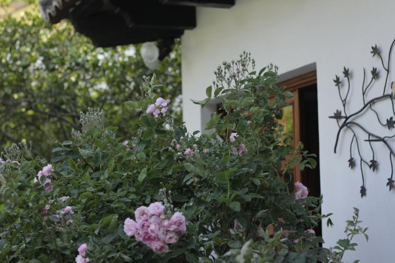 Hotel Y Jardines Casa Buho Antigua Dış mekan fotoğraf