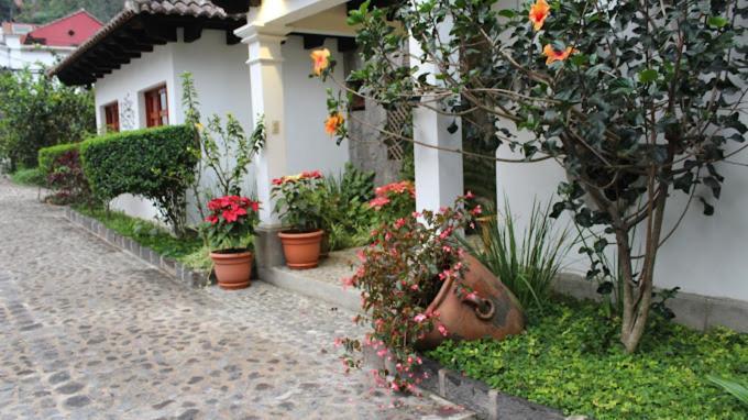 Hotel Y Jardines Casa Buho Antigua Dış mekan fotoğraf