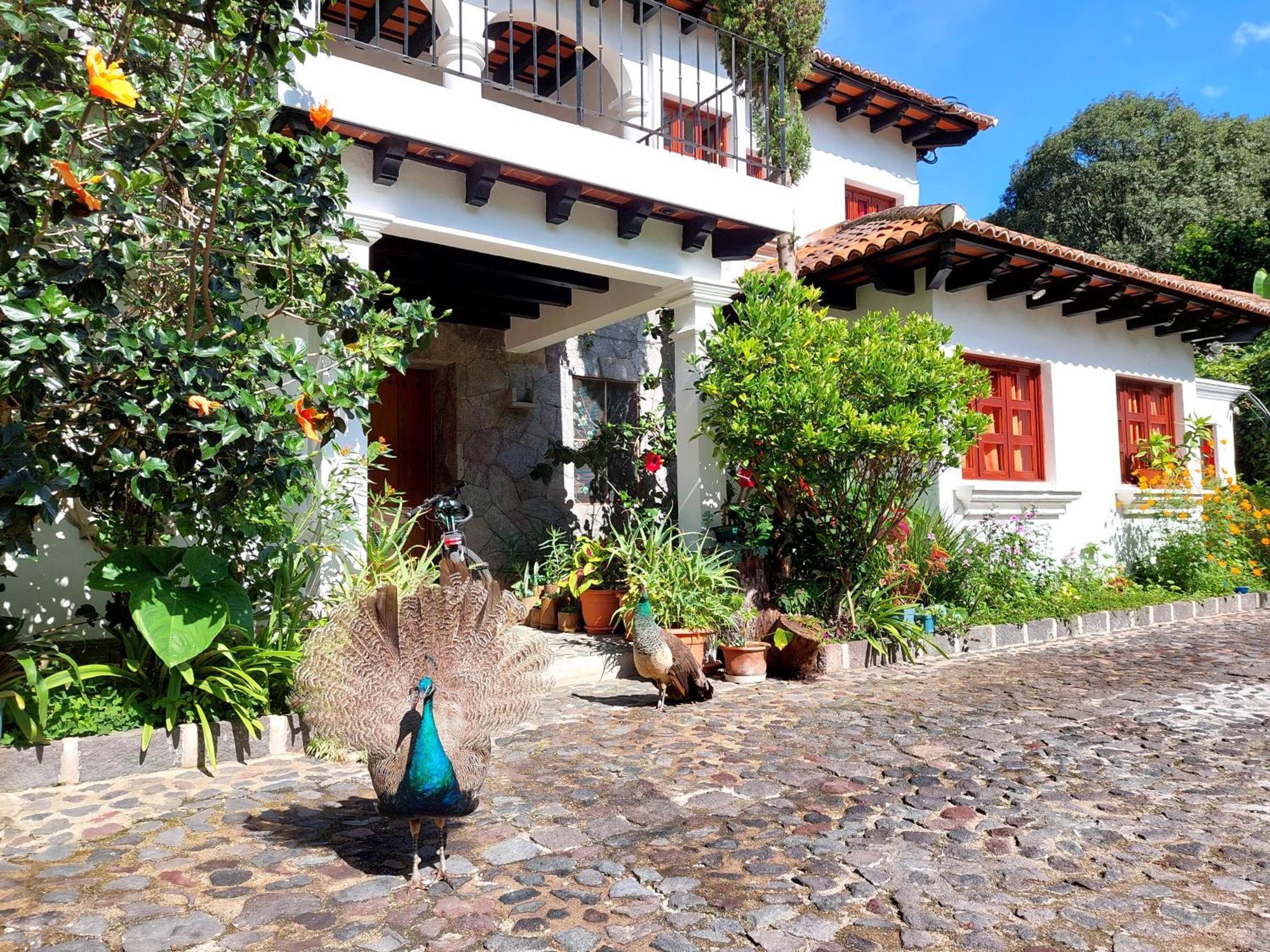 Hotel Y Jardines Casa Buho Antigua Dış mekan fotoğraf