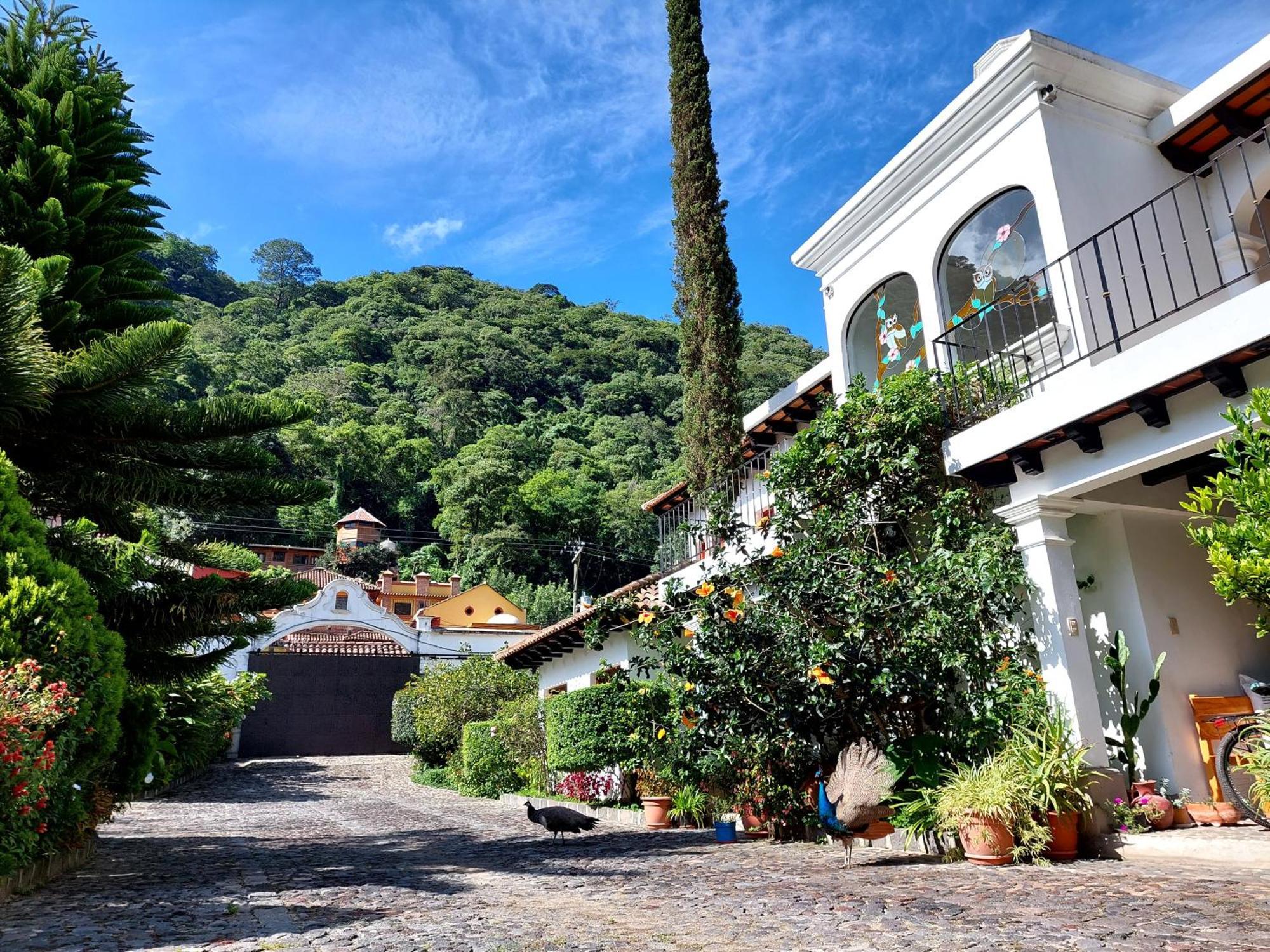 Hotel Y Jardines Casa Buho Antigua Dış mekan fotoğraf